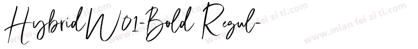 HybridW01-Bold Regul字体转换